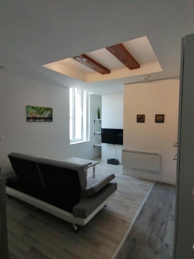 Jungle Zen Beau T2 Avec Jardin Gare 100M Διαμέρισμα Tonneins Εξωτερικό φωτογραφία