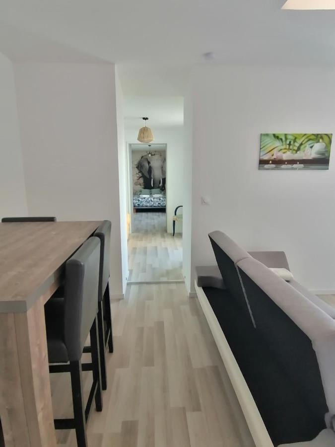 Jungle Zen Beau T2 Avec Jardin Gare 100M Διαμέρισμα Tonneins Εξωτερικό φωτογραφία